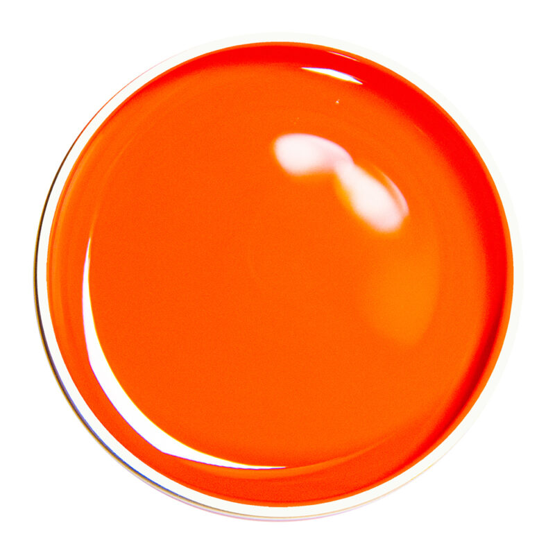 Alezori PAINTING GEL ORANGE 04 10g.