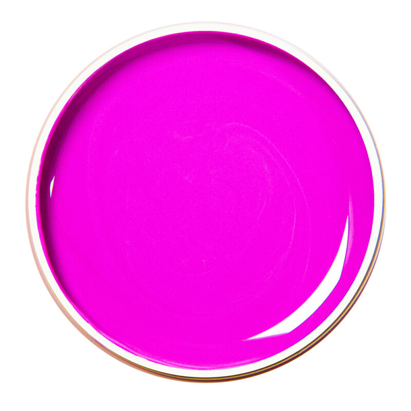 Alezori PAINTING GEL PURPLE 05 10g.