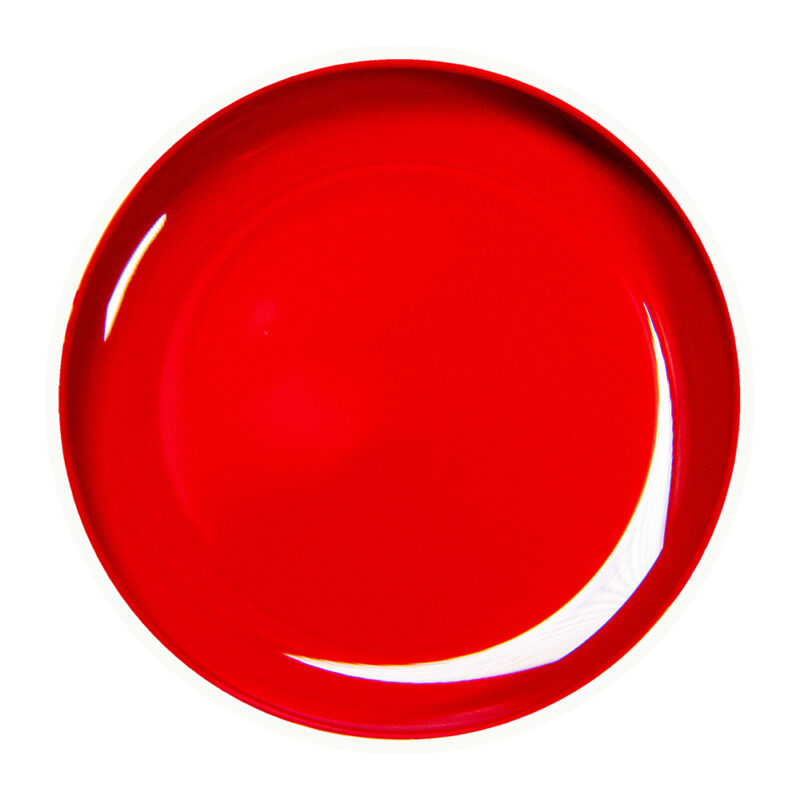 Alezori PAINTING GEL RED 01 10g.