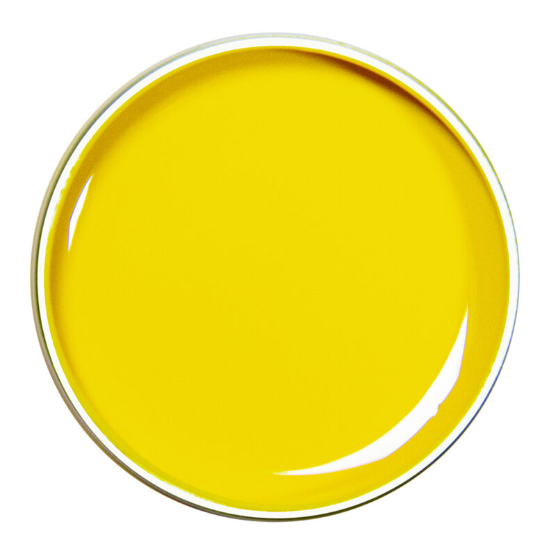 Alezori PAINTING GEL YELLOW 02 10g.