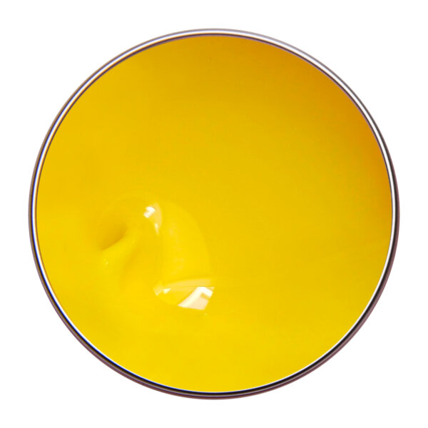 Alezori PAINTING GEL SUNNY YELLOW 3g